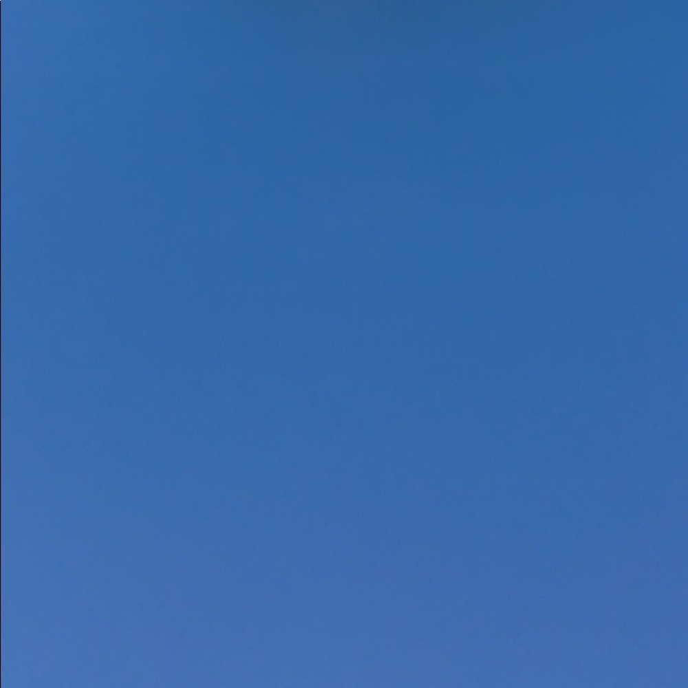 Meet your Posher, Gina